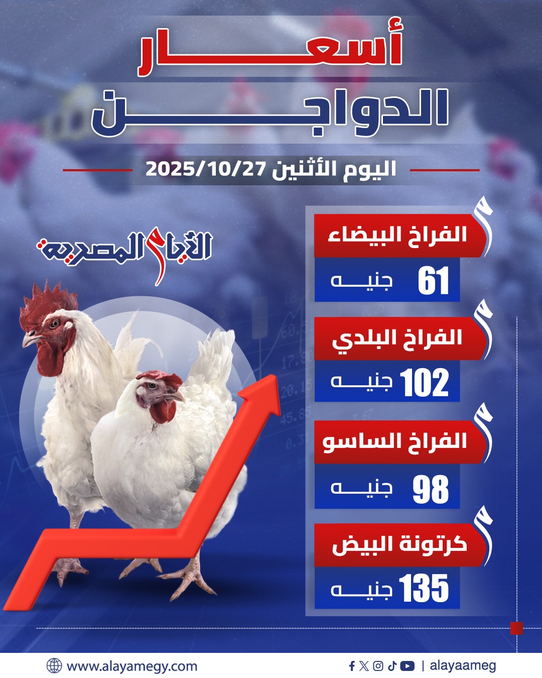 raneen offers from 27oct to 1oct 2025 عروض رنين من 27 أكتوبر حتى 1 أكتوبر 2025 صفحة رقم 14
